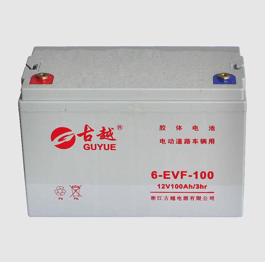Low rate self-discharge Electrical Bike Battery 6-EVF-100